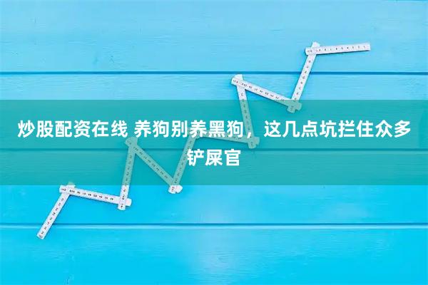 炒股配资在线 养狗别养黑狗，这几点坑拦住众多铲屎官