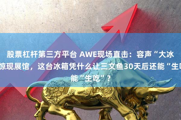 股票杠杆第三方平台 AWE现场直击：容声“大冰象”惊现展馆，这台冰箱凭什么让三文鱼30天后还能“生吃”？