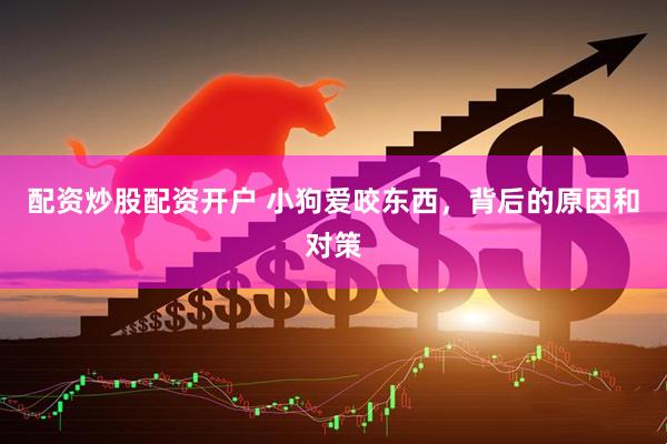 配资炒股配资开户 小狗爱咬东西，背后的原因和对策